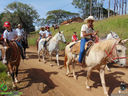 DSC09955.jpg