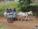 DSC09993.jpg