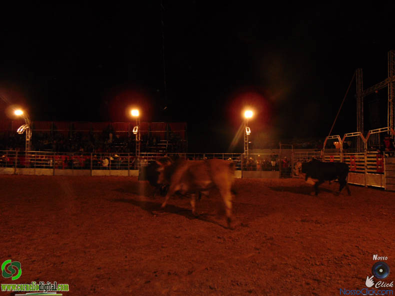 DSC00527.jpg