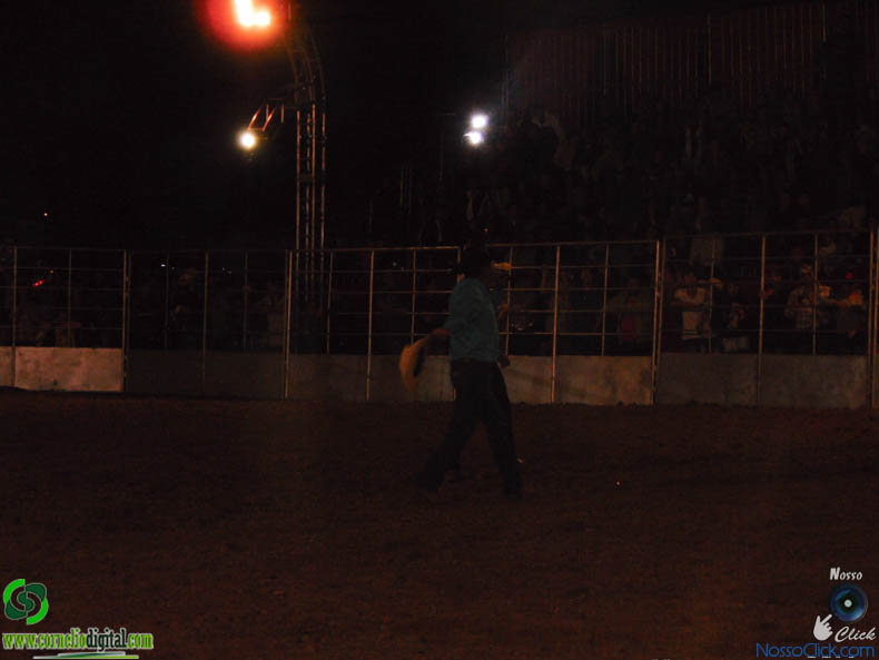 DSC00528.jpg