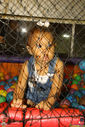 Filename=IMG_8951.jpg
Filesize=275KiB
Dimensions=667x1000
Date added=Jan 11, 2017 IMG_8951.jpg