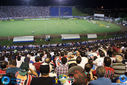 Filename=IMG_1322.jpg
Filesize=216KiB
Dimensions=790x527
Date added=Mar 02, 2017 IMG_1322.jpg