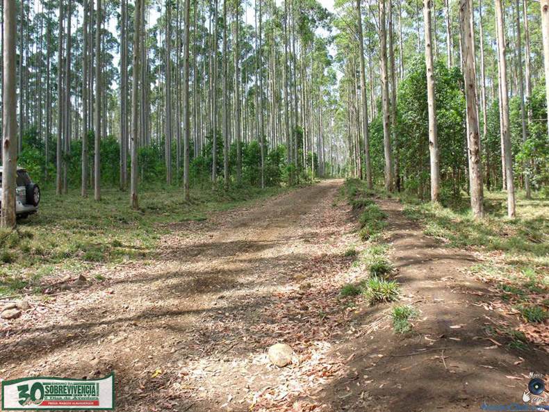 01-10-2017_Enduro_da_Sobrevivencia_048.jpg