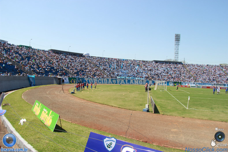 IMG_8764.jpg