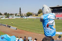 IMG_8615.jpg