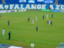 DSC02684.jpg