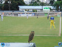 DSC02815.jpg