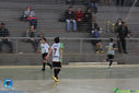 Filename=IMG_5498.jpg
Filesize=176KiB
Dimensions=790x527
Date added=Jul 08, 2017 IMG_5498.jpg