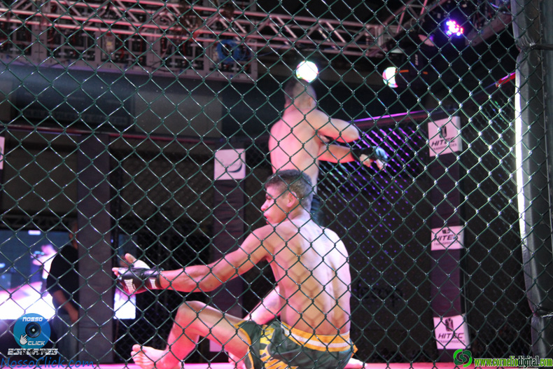 IMG_4815.jpg