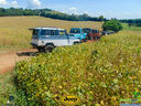 DSC03245.jpg