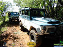DSC03313.jpg
