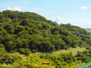 DSC03340.jpg