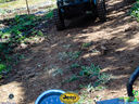 DSC03345.jpg