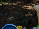 DSC03346.jpg