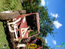 DSC03380.jpg