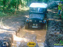 DSC03478.jpg