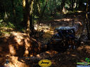 DSC03490.jpg
