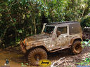 DSC03514.jpg