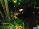 DSC03561.jpg