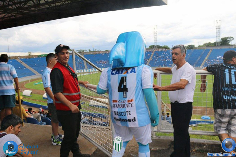 185.jpg
