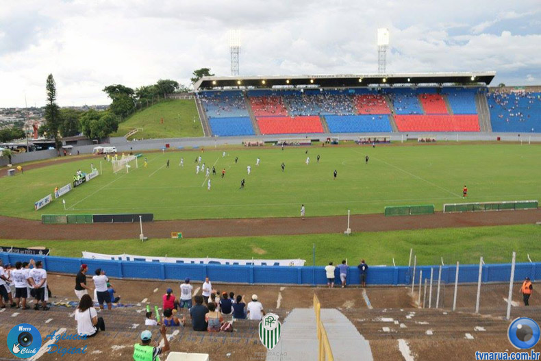 235.jpg