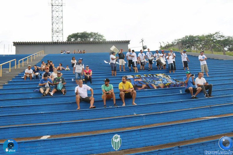 239.jpg