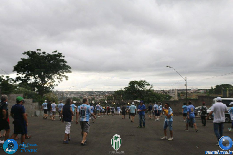 337.jpg