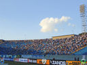 DSC04818.jpg
