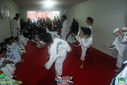 Filename=IMG_1043.jpg
Filesize=126KiB
Dimensions=790x527
Date added=May 22, 2017 IMG_1043.jpg