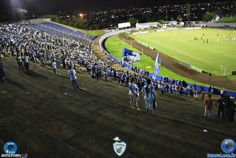 255.jpg