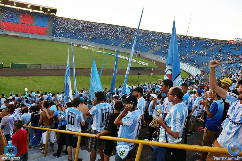 195.jpg