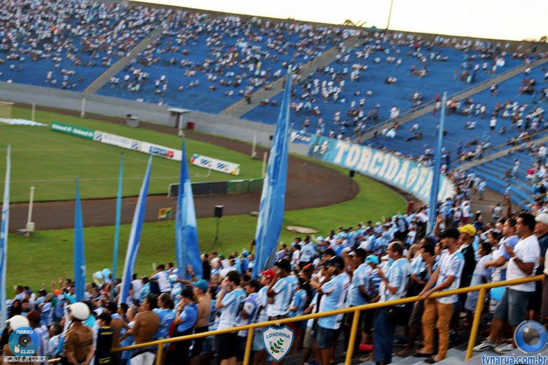 221.jpg