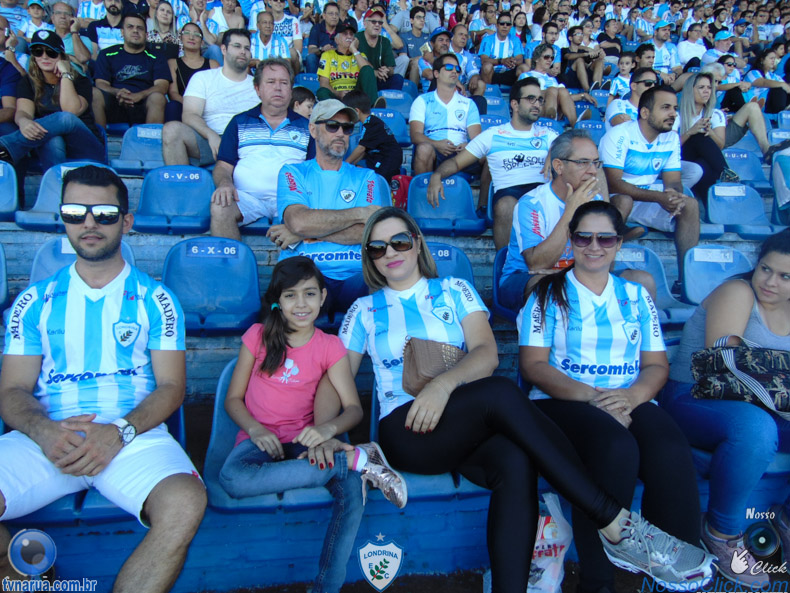 DSC08739.jpg