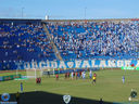 DSC08734.jpg