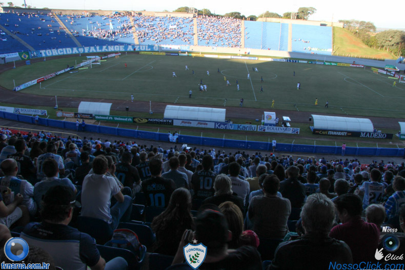 IMG_8968.jpg