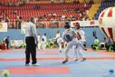 IMG_9339.jpg