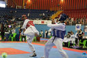 Filename=IMG_9350.jpg
Filesize=324KiB
Dimensions=790x527
Date added=Jun 26, 2017 IMG_9350.jpg
