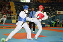 IMG_9391.jpg