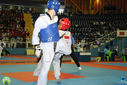 IMG_9393.jpg