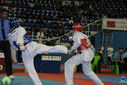 IMG_9395.jpg