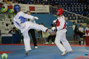 IMG_9398.jpg