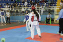 IMG_9557.jpg
