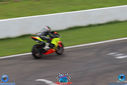 IMG_5452.jpg