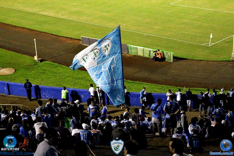 238.jpg
