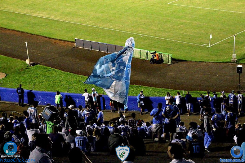 239.jpg