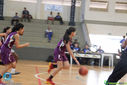 Filename=IMG_4713.jpg
Filesize=139KiB
Dimensions=790x527
Date added=May 01, 2017 IMG_4713.jpg