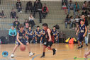 IMG_5274.jpg