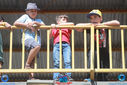 Filename=IMG_4219.jpg
Filesize=283KiB
Dimensions=790x527
Date added=Aug 01, 2017 IMG_4219.jpg