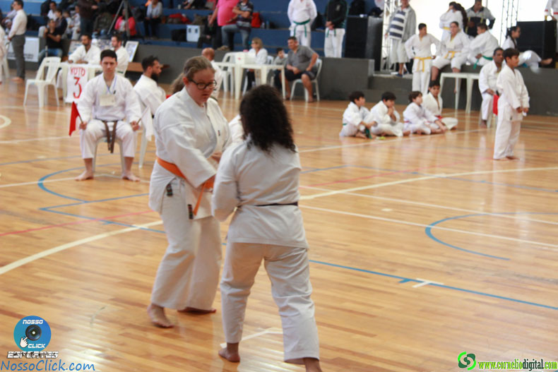 IMG_4022.jpg