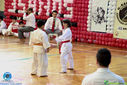 IMG_3976.jpg
